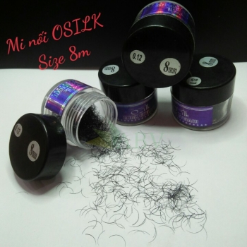 Mi nối Osilk hủ