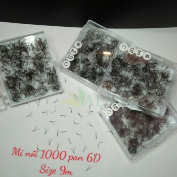 Mi nối 1000 fan 6D