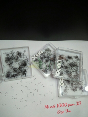 Mi nối 3D 1000 fan