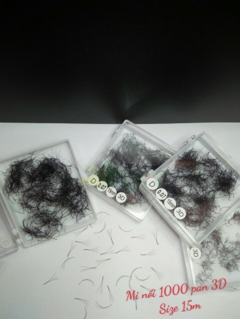 Mi nối 3D 1000 fan