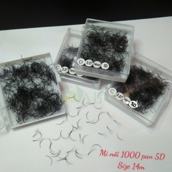 MI nối 1000 fan 5D