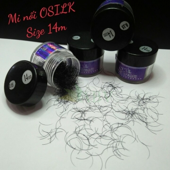 Mi nối Osilk hủ