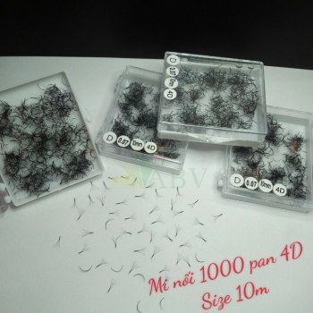Mi nối 1000 fan 4D