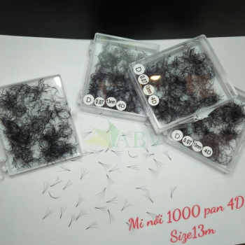 Mi nối 1000 fan 4D