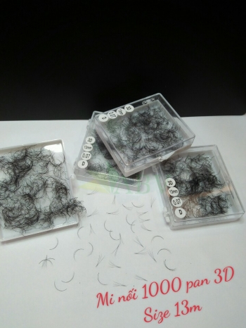Mi nối 3D 1000 fan