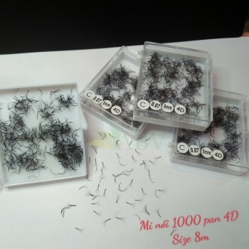 Mi nối 1000 fan 4D