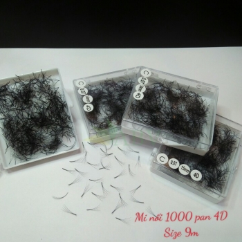 Mi nối 1000 fan 4D