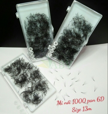 Mi nối 1000 fan 6D