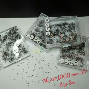 Mi nối 1000 fan 5D