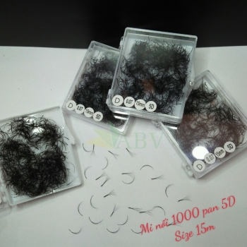 Mi nối 1000 fan 5D