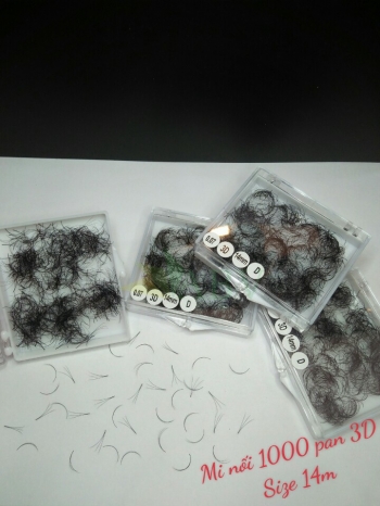 Mi nối 3D 1000 fan