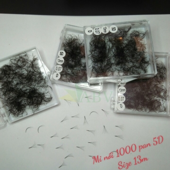 Mi nối 1000 fan 5D