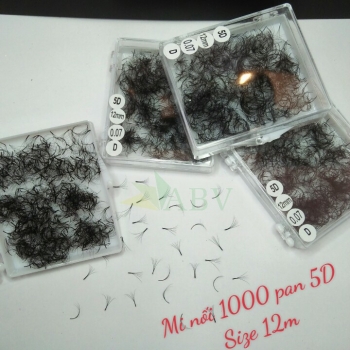 Mi nối 1000 fan 5D