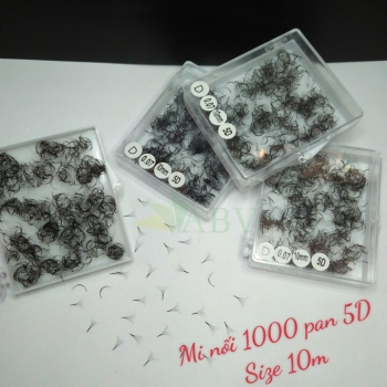 Mi nối 1000 fan 5D