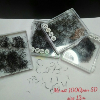 Mi nối 1000 fan 5D