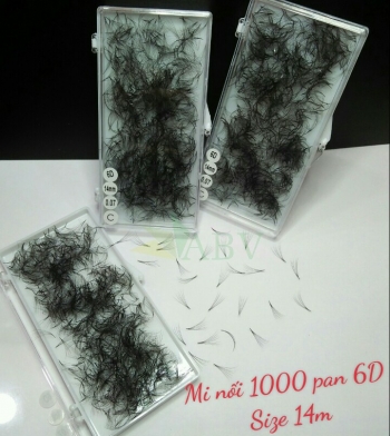 Mi nối 1000 fan 6D