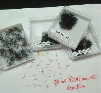 Mi nối 1000 fan 4D