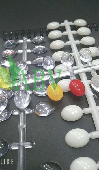 Móng vĩ xương cá tròn