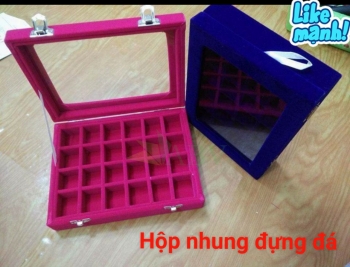 Hộp nhung 12 ô