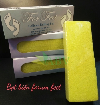 Bọt biển BERKELEY