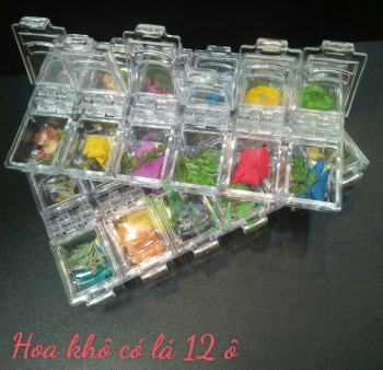 Hoa khô nắp bật (12 ô) có lá