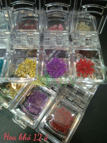 Hoa khô yi kou (12 ô)