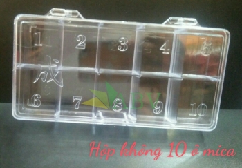 Hộp không 10 ô 20