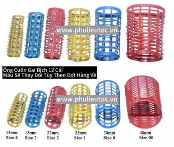 Ống Gai Vàng Lớn (1)