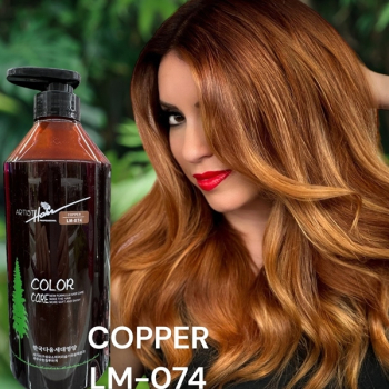 Phủ Bóng Artist 800ml 0/74