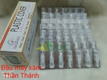 Đầu nhựa Thần Thánh